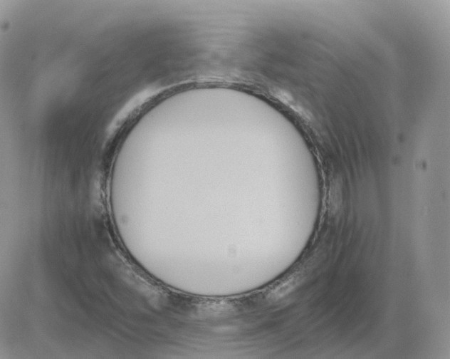 X0000081571454200701291203