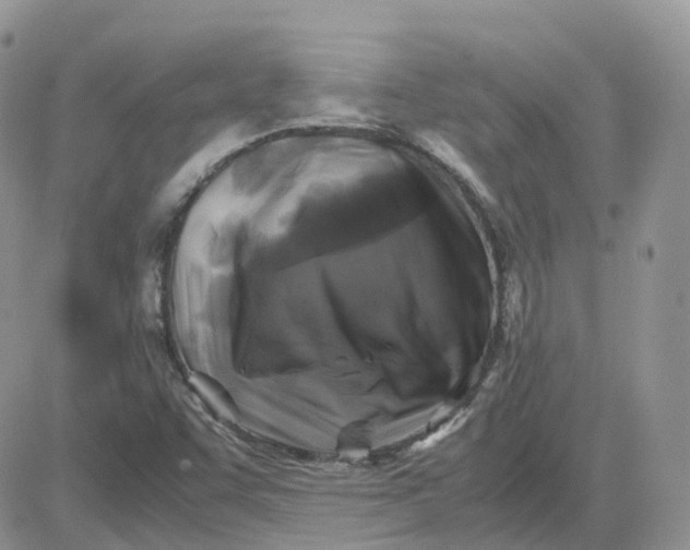 X0000081571455200701291203