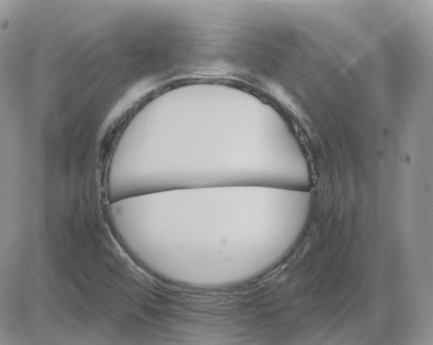 X0000081571456200701291203