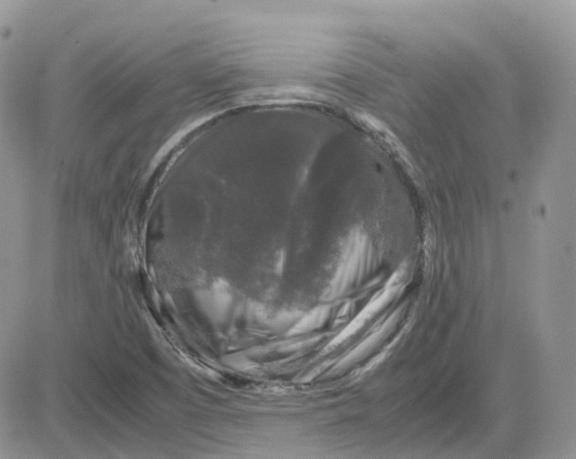 X0000081571457200701291203