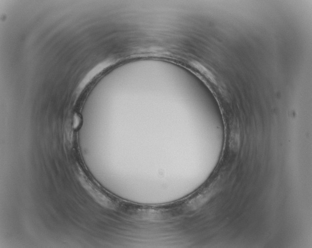 X0000081571458200701291203