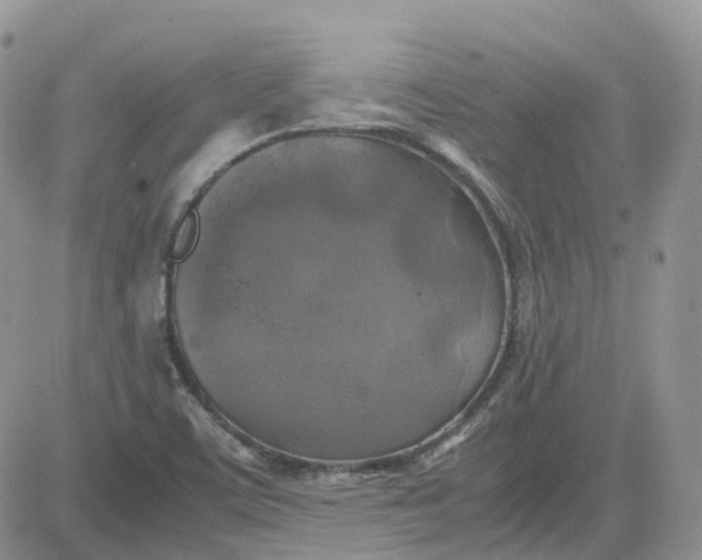 X0000081571459200701291203