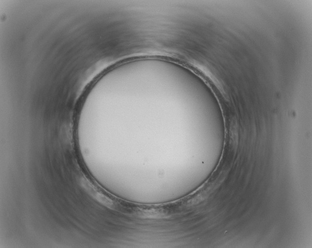 X0000081571460200701291203