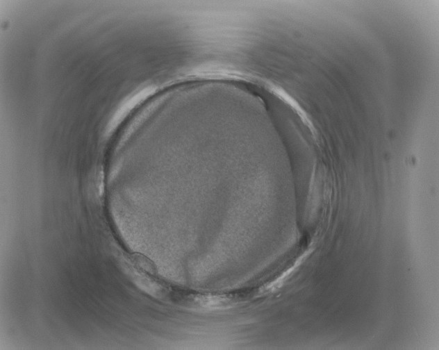 X0000081571461200701291203