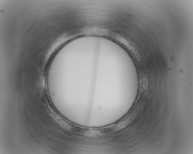 X0000081571462200701291203