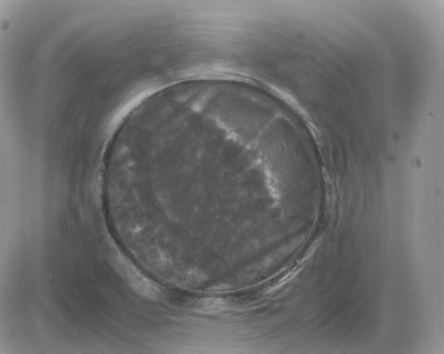 X0000081571463200701291203