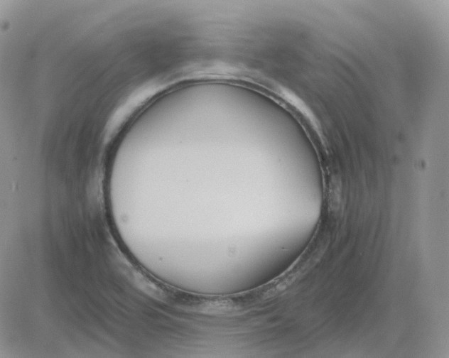 X0000081571464200701291202