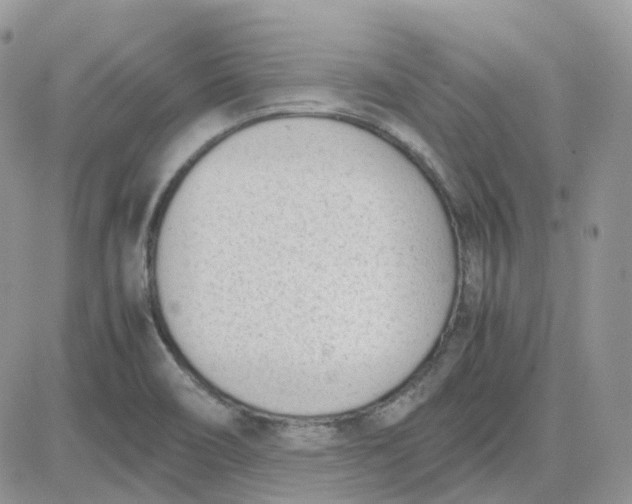 X0000081571466200701291202