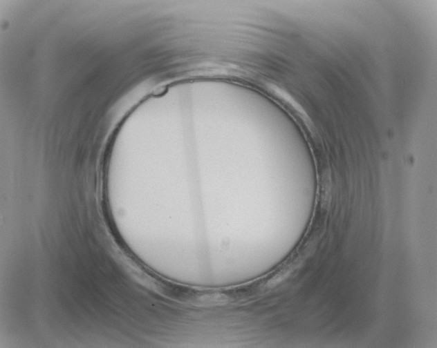 X0000081571467200701291202