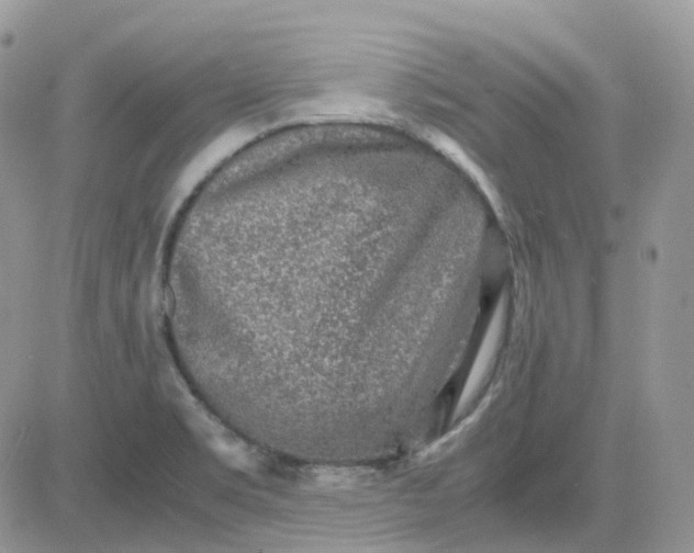 X0000081571469200701291202