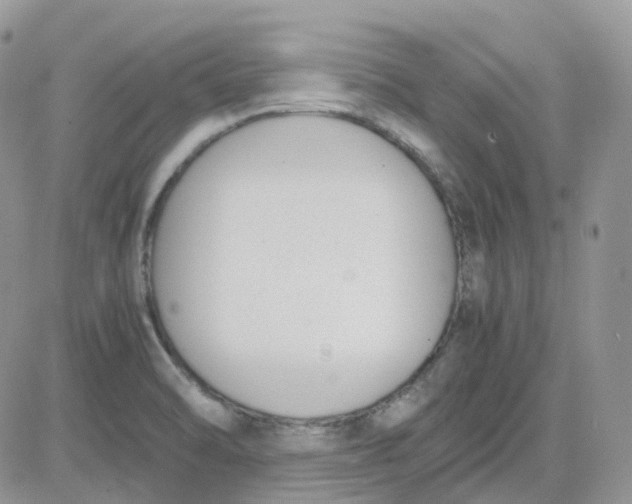 X0000081571470200701291202