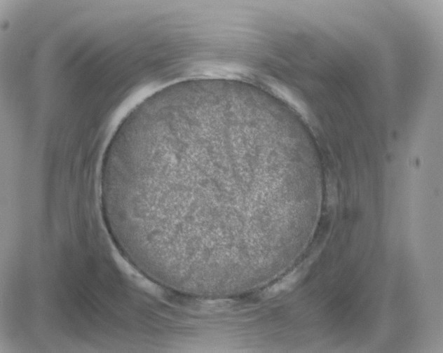 X0000081571471200701291202