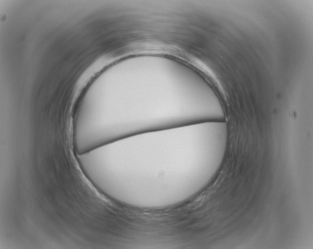 X0000081571472200701291202