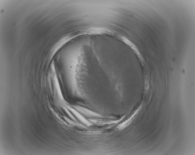 X0000081571473200701291202