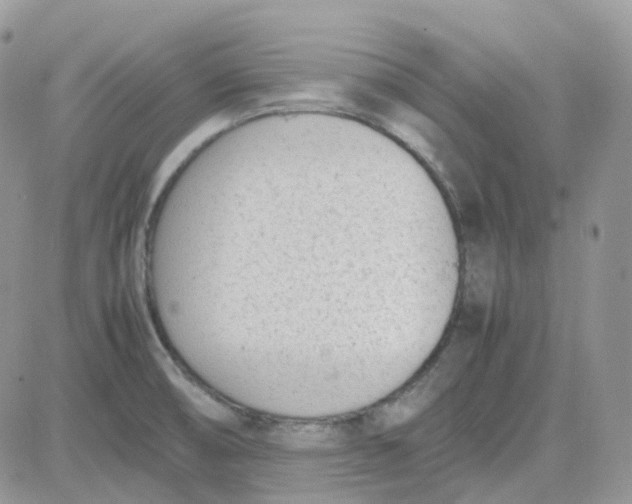 X0000081571474200701291202