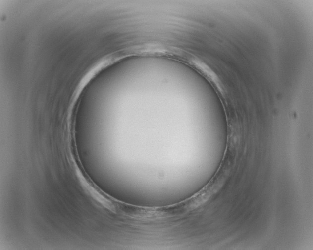 X0000081571475200701291202