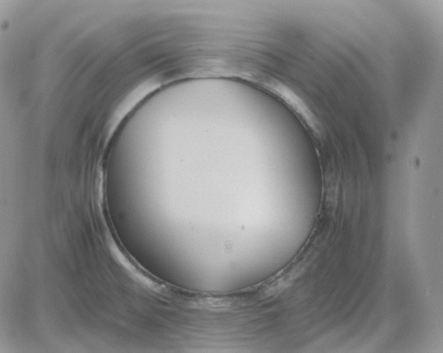 X0000081571476200701291202