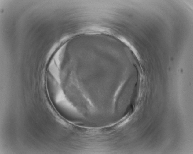 X0000081571477200701291202