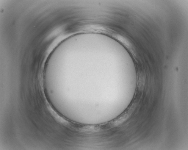 X0000081571478200701291202