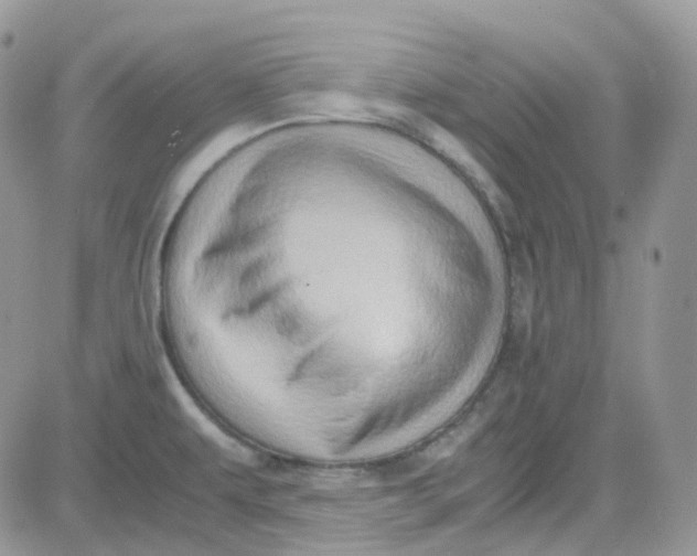 X0000081571479200701291202