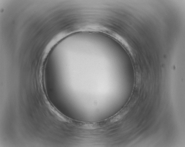 X0000081571480200701291202