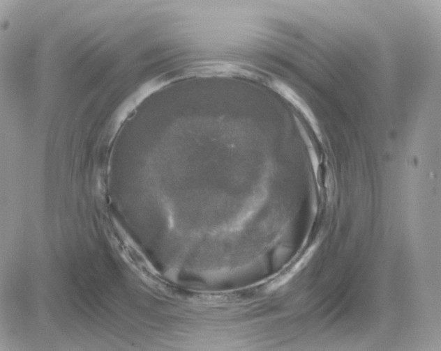 X0000081571481200701291202