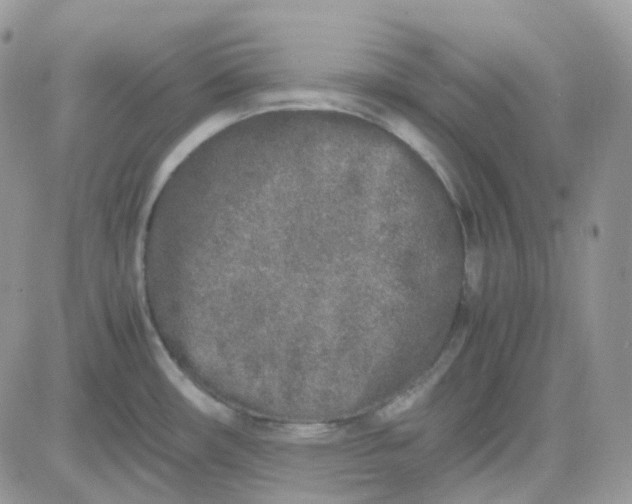 X0000081571482200701291202