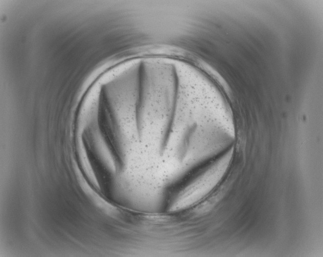 X0000081571483200701291202