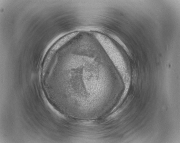 X0000081571484200701291202