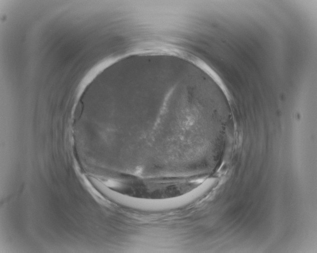 X0000081571485200701291202