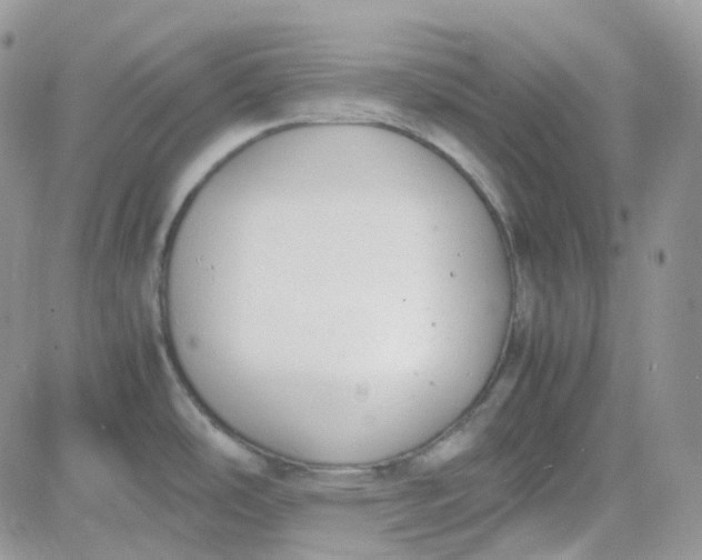 X0000081571486200701291202