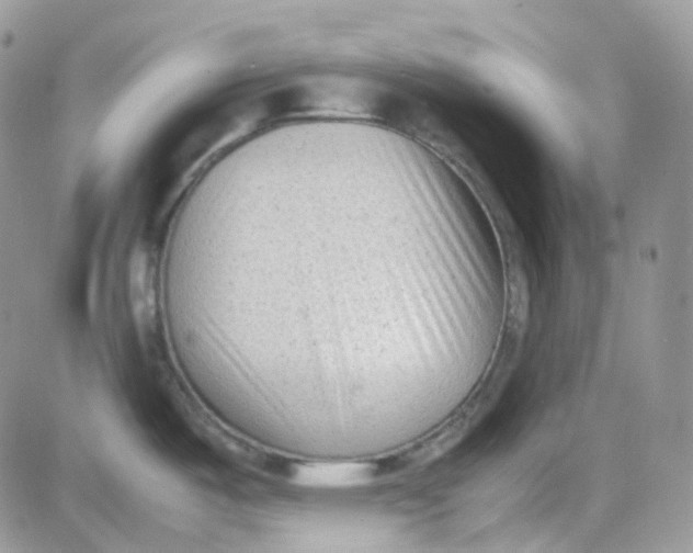 X0000081571487200701291202