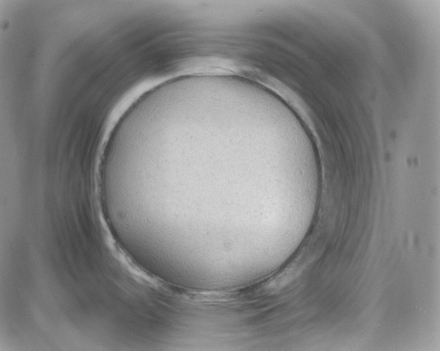 X0000081571488200701291202