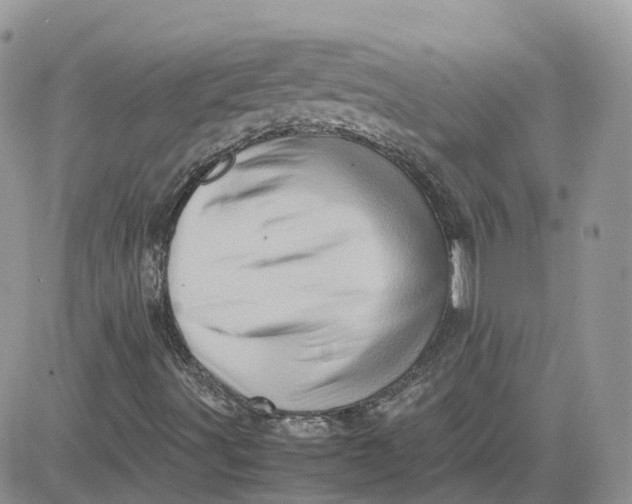 X0000081571491200701291201