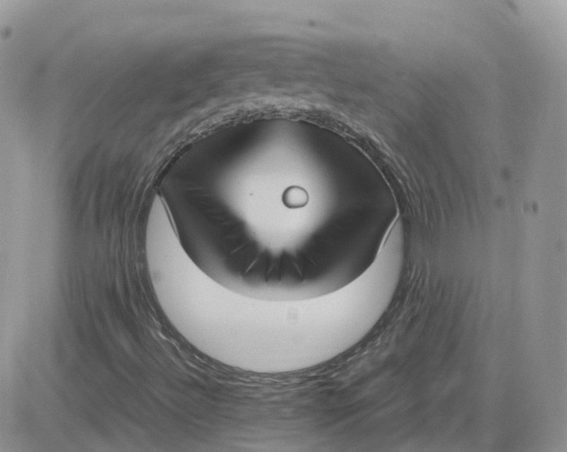 X0000081571492200701291201