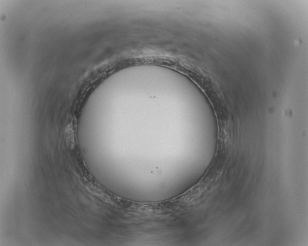 X0000081571493200701291201