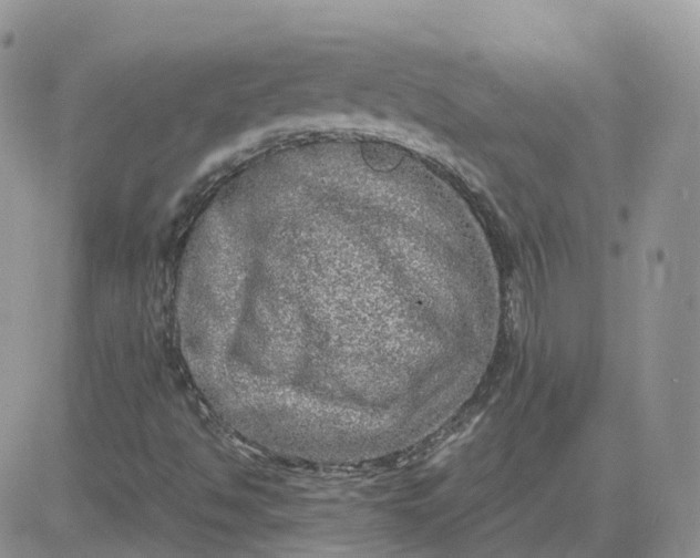 X0000081571494200701291201