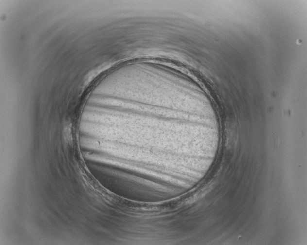 X0000081571497200701291201