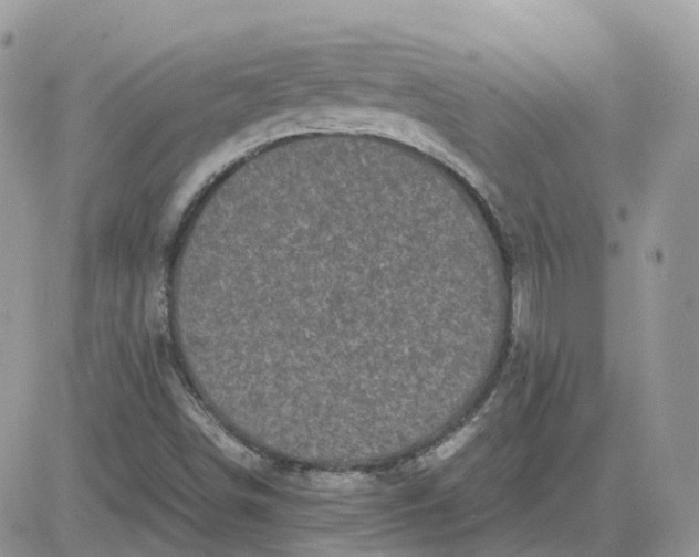 X0000081571498200701291201