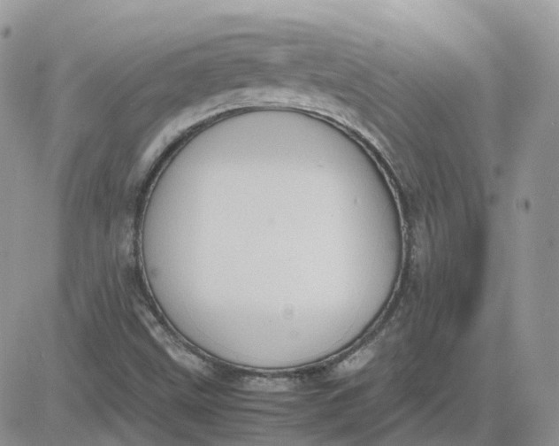 X0000081571499200701291201