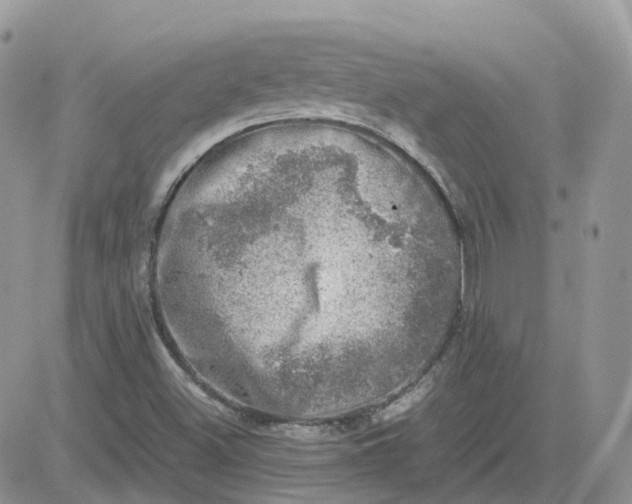 X0000081571500200701291201