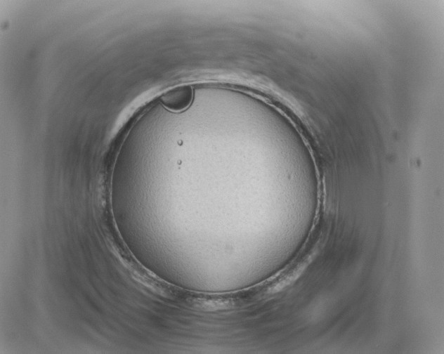 X0000081571501200701291202