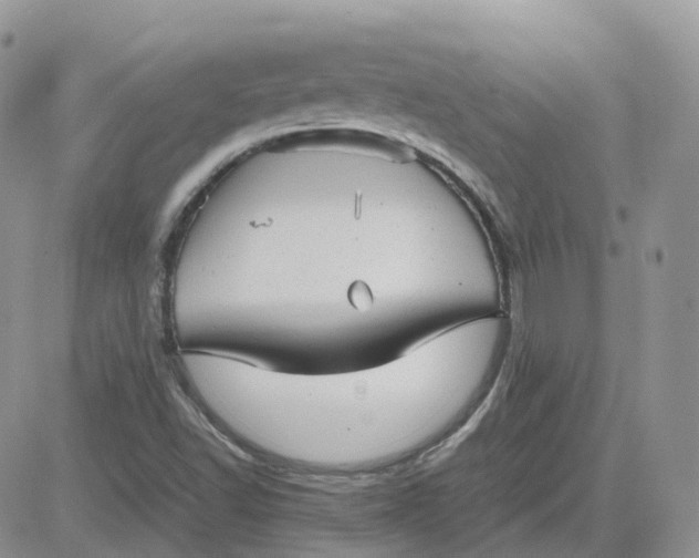 X0000081571502200701291202