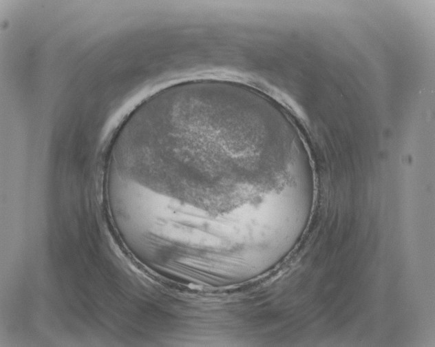 X0000081571504200701291202