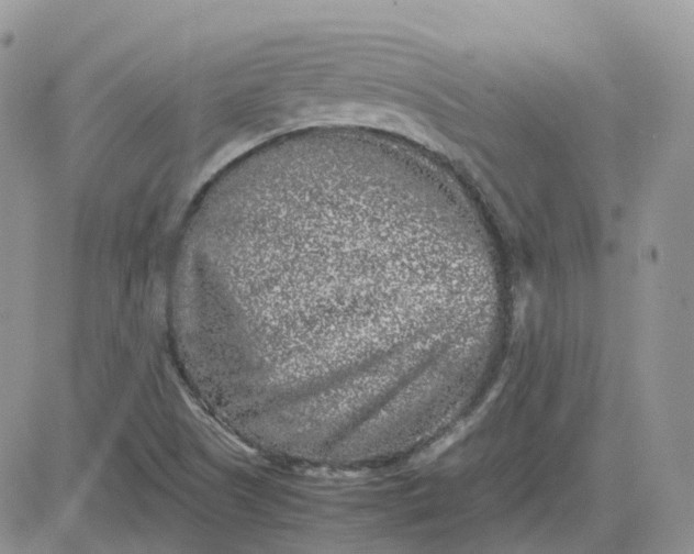 X0000081571505200701291202