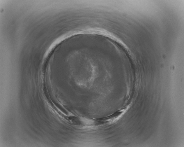 X0000081571506200701291202