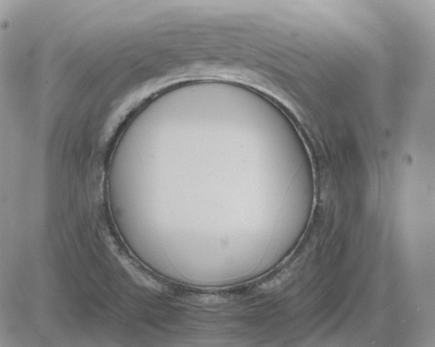 X0000081571507200701291202