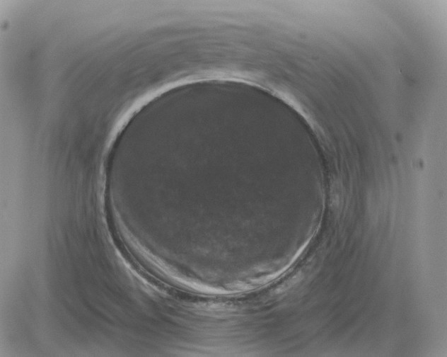 X0000081571508200701291202