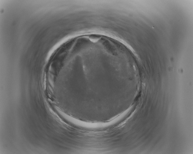 X0000081571510200701291202