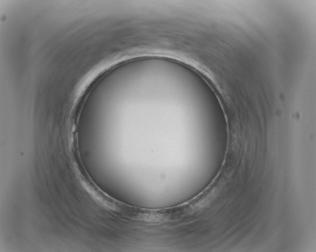 X0000081571511200701291202